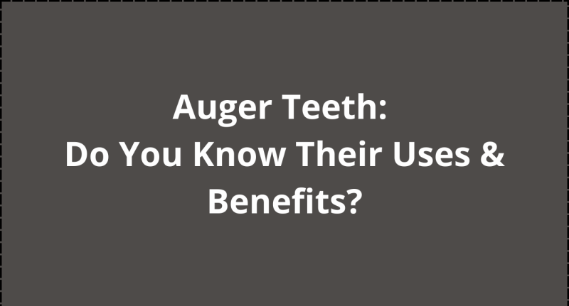 Auger Teeth: Do You Know Their Uses & Benefits?