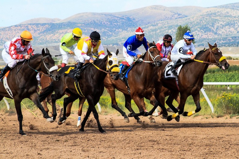 How Betting Addiction Develops