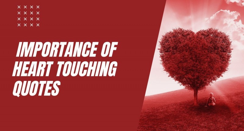 Importance of Heart Touching Quotes