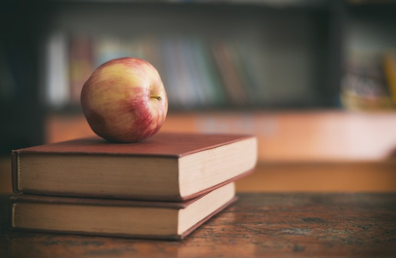 System Of Pre Primary Education In India
